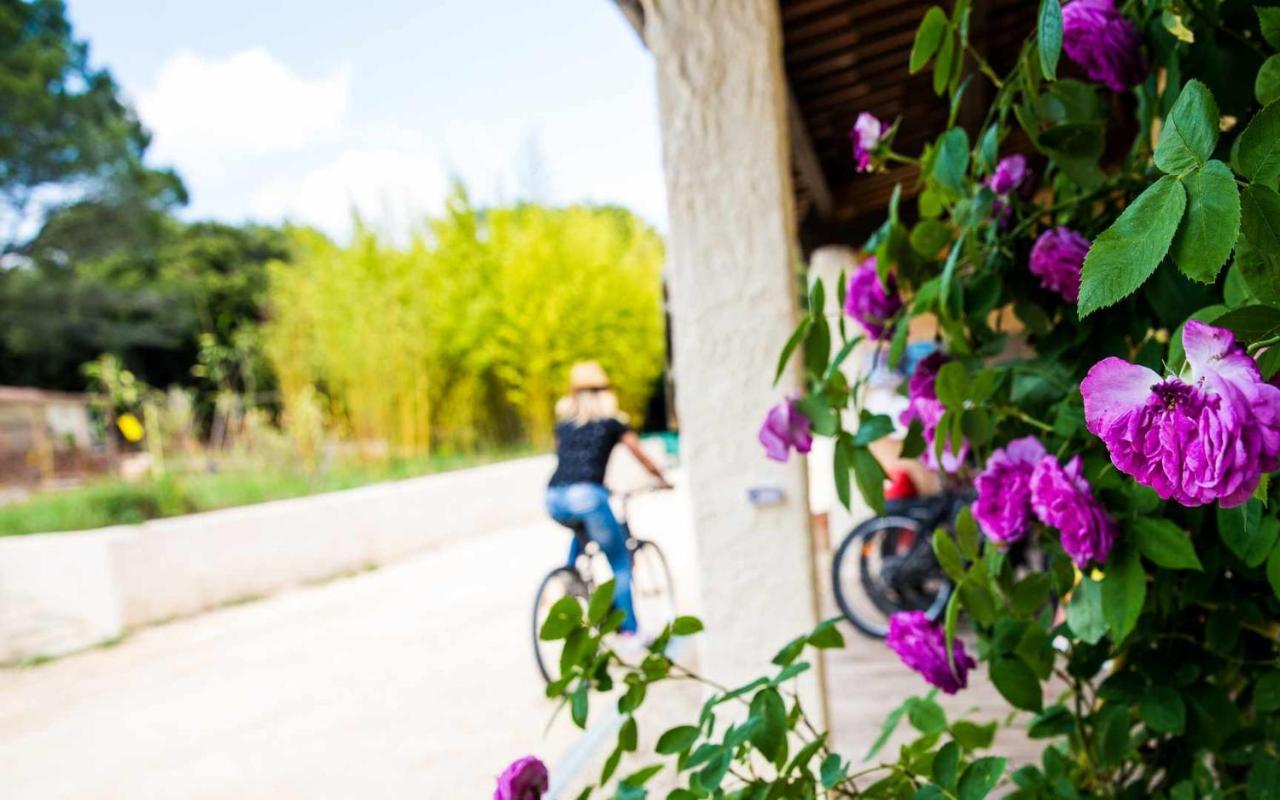 Camping Mille Etoiles Labastide-de-Virac Zewnętrze zdjęcie